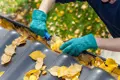 Yellow leaves being removed from a roof and gutter.
