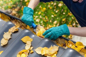 Yellow leaves being removed from a roof and gutter.