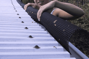 An arched plastic mesh, being fitted into a rain gutter.